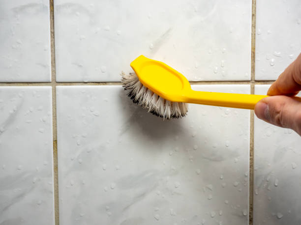 Best Mold Testing and Removal  in Sandy Valley, NV